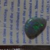 black opals,black opal, black opals semi