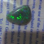 black opals,black opal,black opals semi