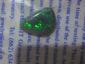 black opals,black opal,black opals semi