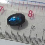 Blue Green Color Opal.